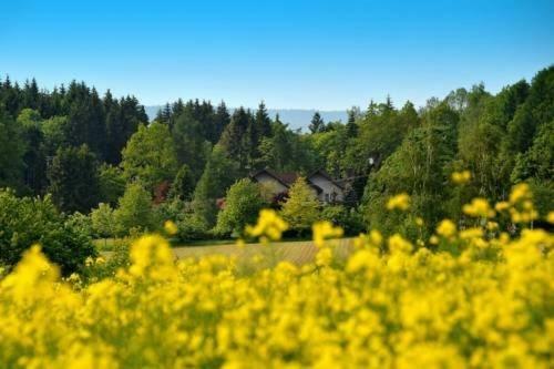 Hotel Altes Forsthaus Goseplack Hardegsen Exterior foto